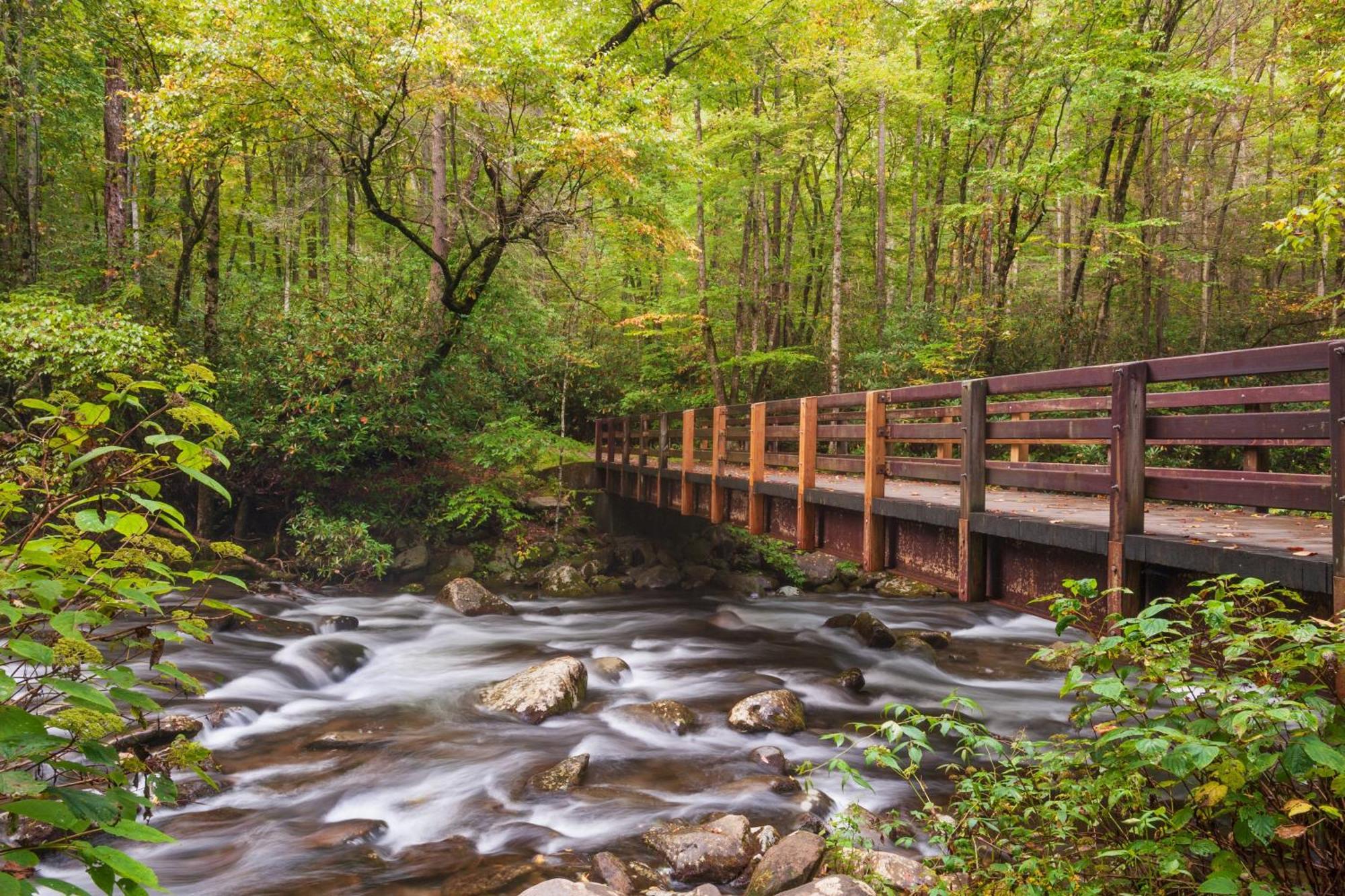 Tranquility Hollow, Indoor Pool, Game Room, 1089 Free Tickets Each Paid Day, Dollywood And More! Sevierville Dış mekan fotoğraf